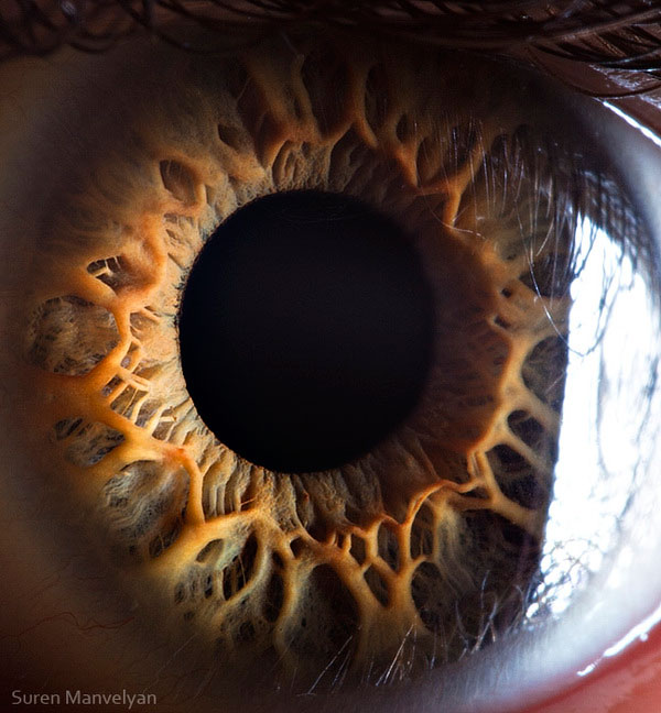 extremely-detailed-close-ups-eye-10