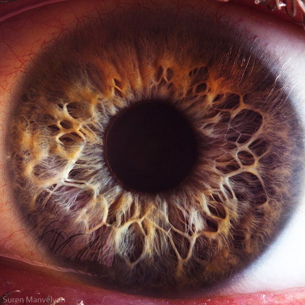 extremely-detailed-close-ups-eye-11