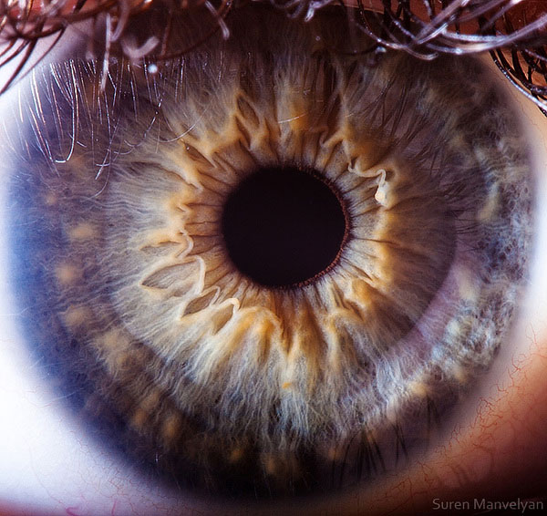 extremely-detailed-close-ups-eye-13