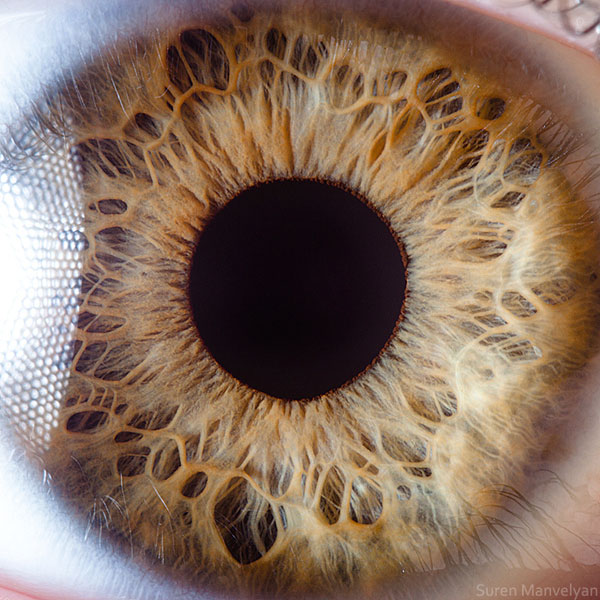 extremely-detailed-close-ups-eye-14