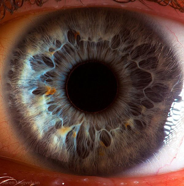 extremely-detailed-close-ups-eye-5