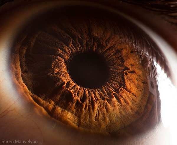 extremely-detailed-close-ups-eye-7