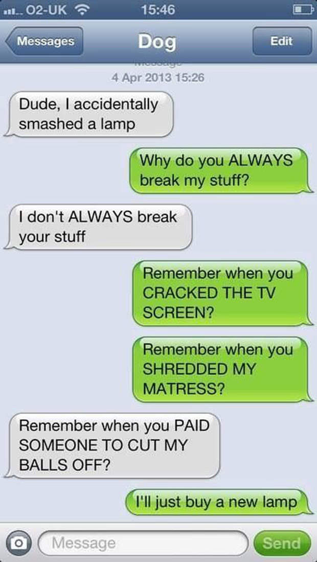 The 35 funniest text messages dogs would send, if they ...