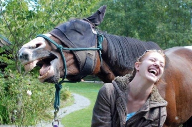 41 Of The Most Hilarious Animal Photobombs That Ever Happened