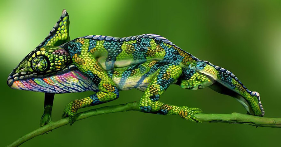 At First I Thought This Was A Normal Chameleon, Then I ...