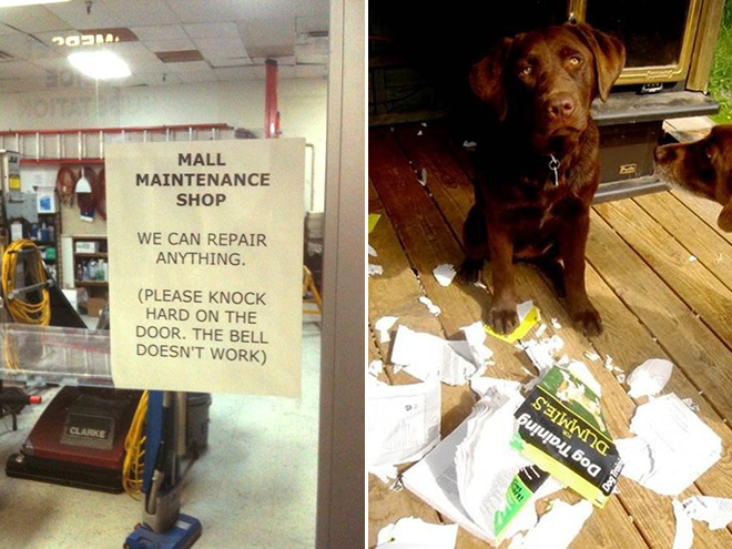 20 Hilarious Examples of Irony