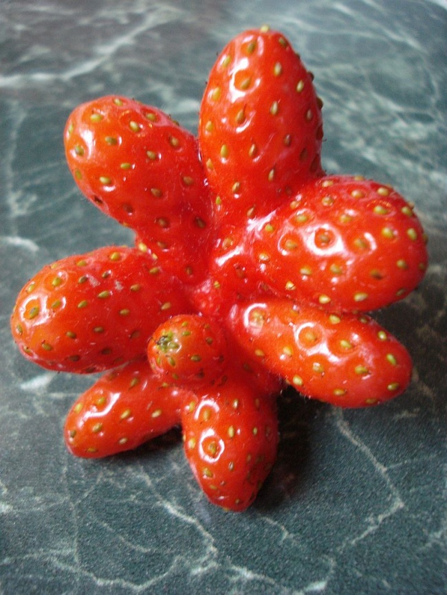 20 Funny Fruits And Vegetables Looking Exactly Like Something Else