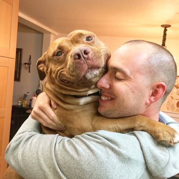 Rescue Dog Cant Stop Smiling After Being Saved Helps Couple Find Love