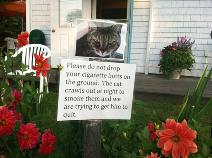 24-of-the-most-hilarious-yard-signs-ever-written-09.jpg