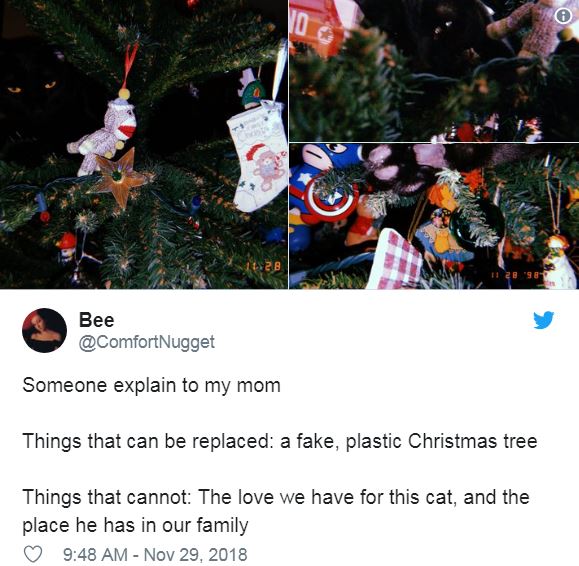 Cat Owners Can Finally Buy Half Christmas Trees For Their