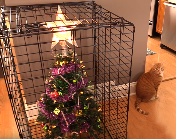 Cat Owners Can Finally Buy Half Christmas Trees For Their Cats Who Like