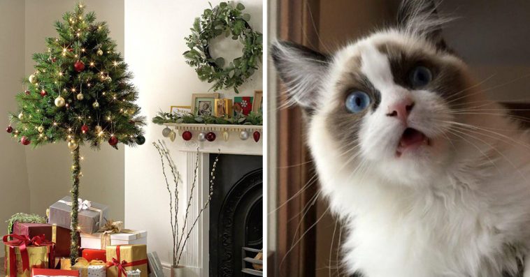 Cat Owners Can Finally Buy Half Christmas Trees For Their