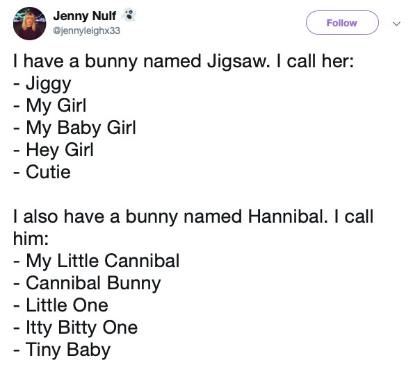 People Are Sharing All The Funny Nicknames They Call Their Pets