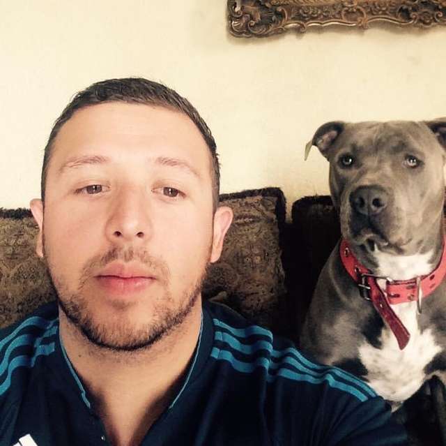 Loving Pit Bull Knocks On His Owners Door To Tell Him That A St photo