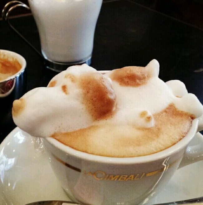 kazuki-yamamoto-3d-latte-6