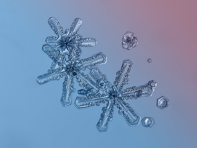 macro-snowflakes-9