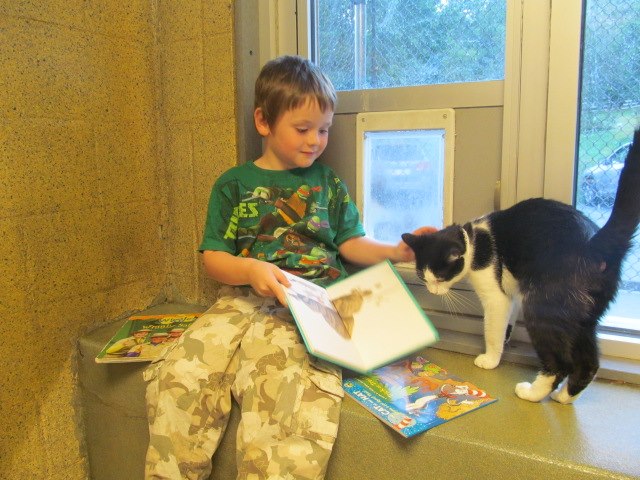 kids-read-books-to-cats-1