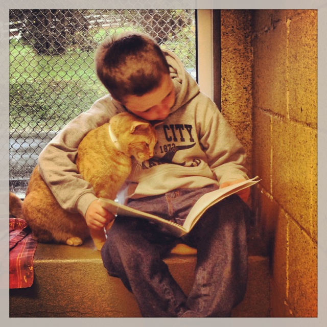 kids-read-books-to-cats-11