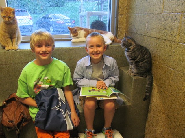 kids-read-books-to-cats-6