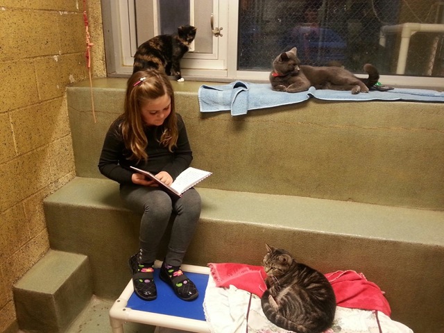 kids-read-books-to-cats-8