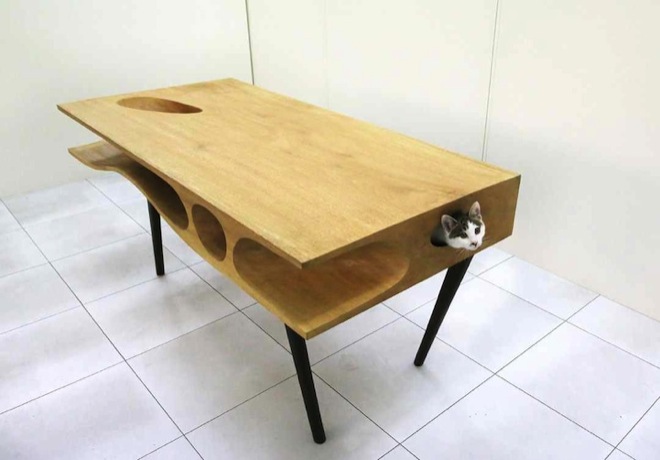 cat-table-1