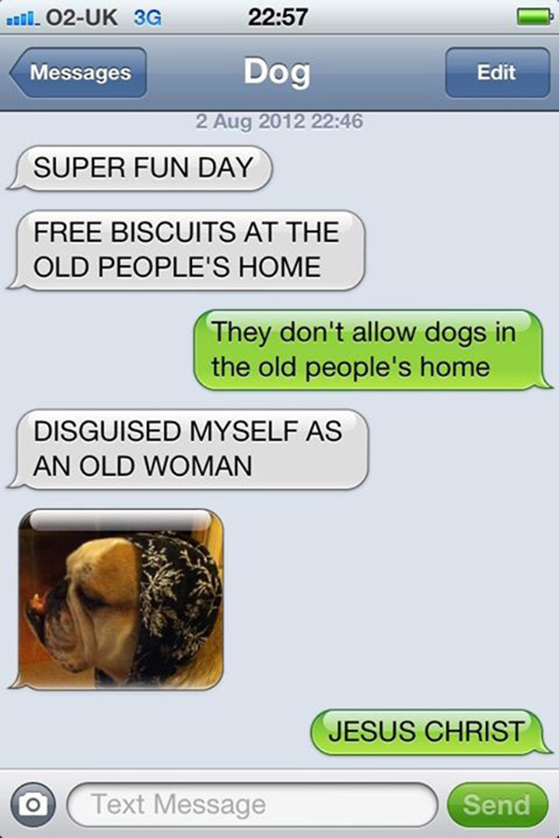 texts-from-dogs-24