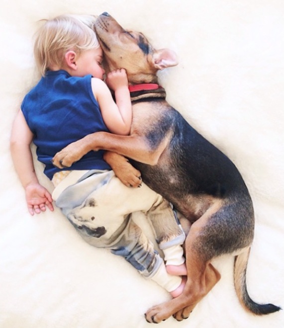toddler-naps-with-puppy-1