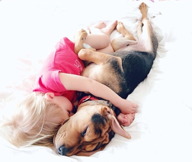 toddler-naps-with-puppy-2