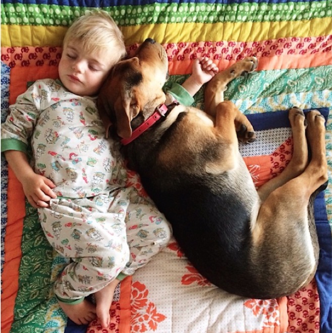 toddler-naps-with-puppy-4
