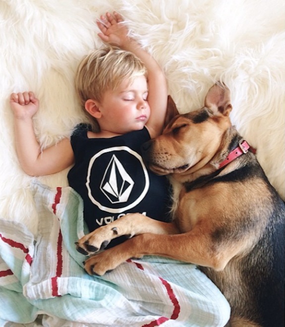 toddler-naps-with-puppy-8