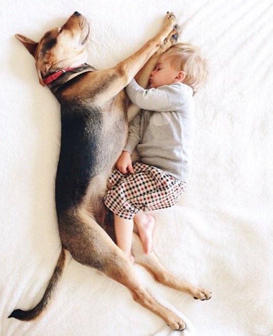 toddler-naps-with-puppy-9