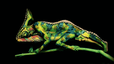 chameleon-body-painting-3