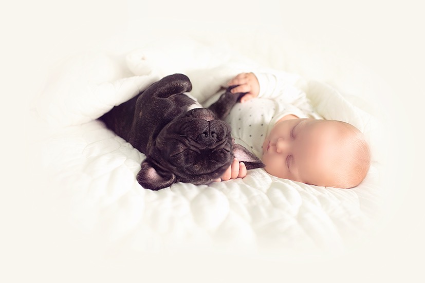 ivette-ivens-baby-bulldog-2