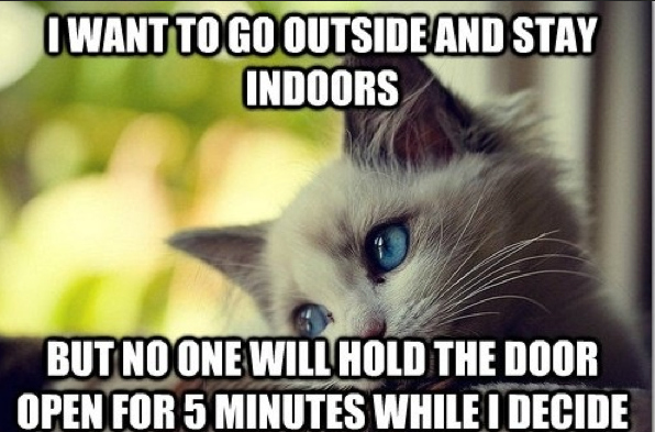 18 Hilarious Struggles Only First World Cats Will Understand. #7 Killed Me!