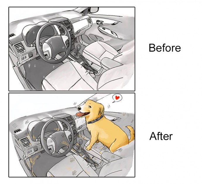 Hilarious Illustrations Depict How Life Changes Before And After Getting A Dog