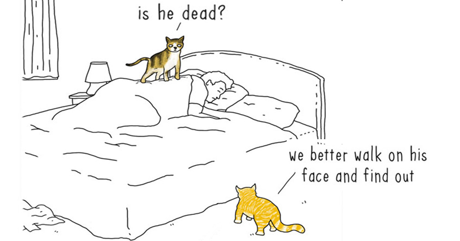 16 Hilarious Illustrations Show What Animals Would Say If They Could Talk
