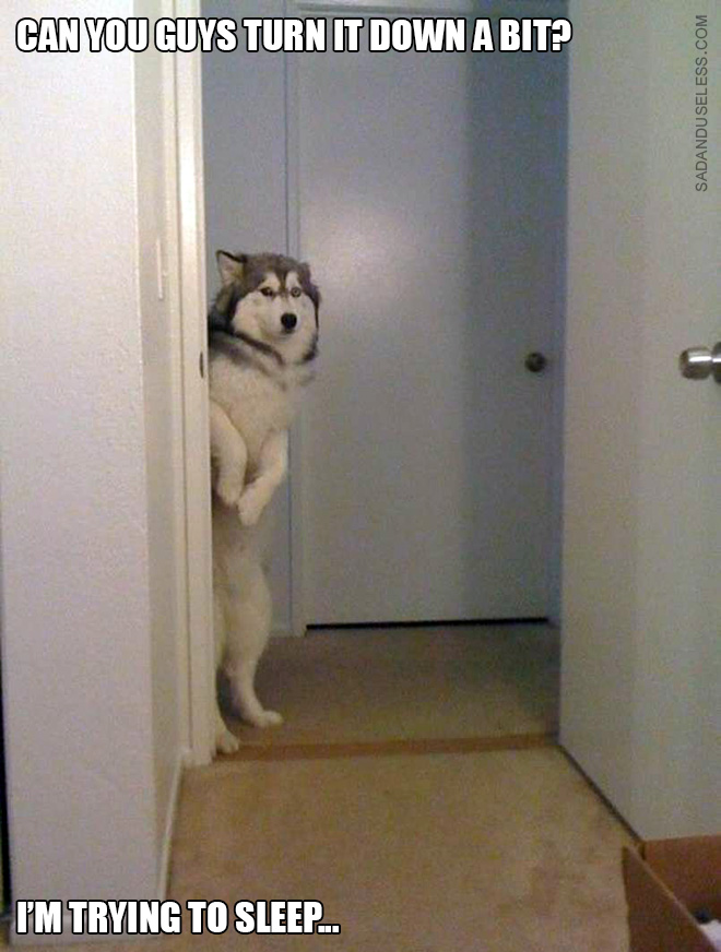 15 Funny Photos Of Dogs Standing Awkwardly. The Last One Is The Best Ever.