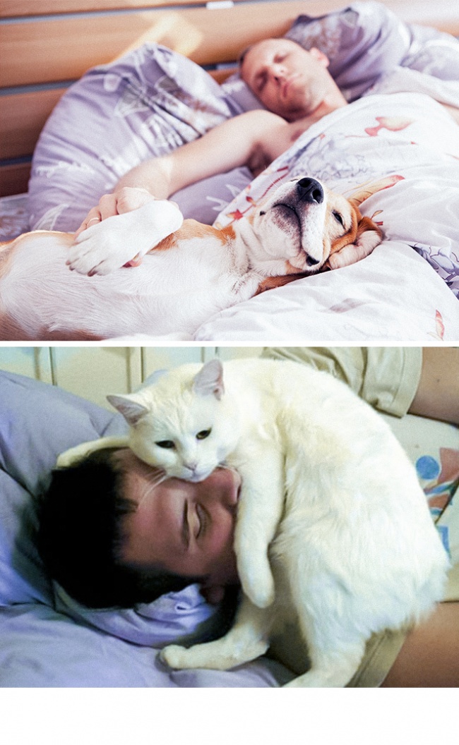 13 Photos Proving That Dogs And Cats Come From Two Totally Different Worlds