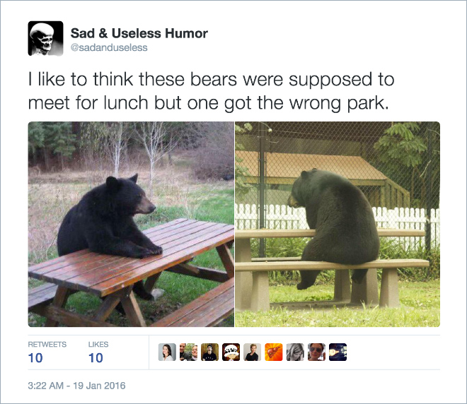 12 Hilariously Brilliant Tweets That Will Make You Laugh Harder Than You Should