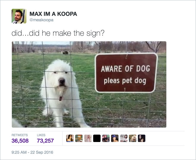 16 Of the Most Hilarious Tweets About Dogs