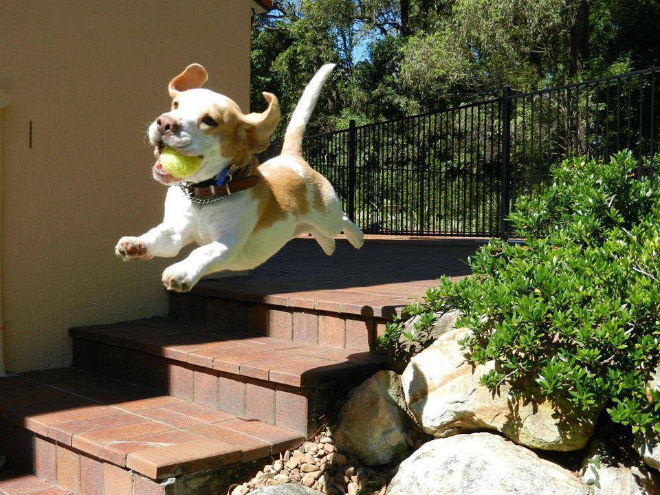 25 Adorable Animals Having The Best Day Of Their Life