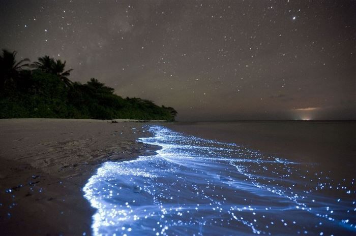 20 Incredible Natural Phenomenons That Seem Impossible But Are Totally True