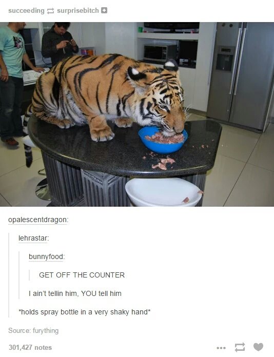 45-tumblr-posts-about-animals-that-are-impossible-not-to-laugh-at-27.jpg