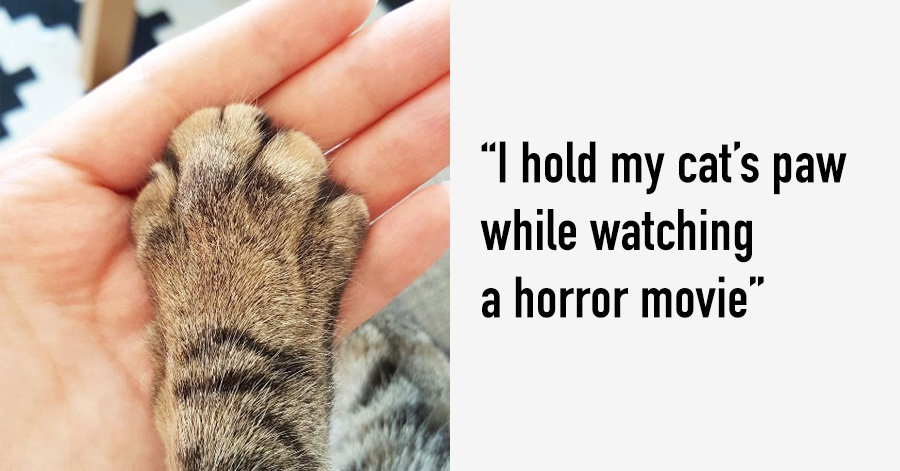 18 Weird Things Cat Owners Will Never Admit They Secretly Do