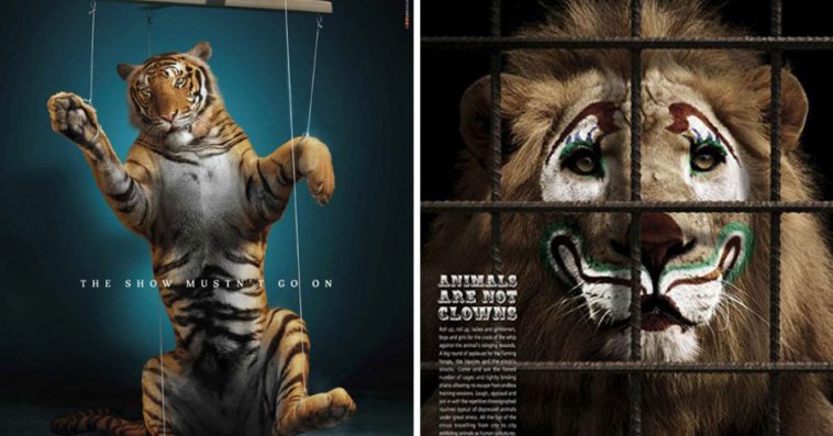 27 Powerful Animal Ad Campaigns That Show Us What Society Doesn't Want