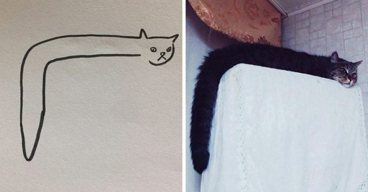 When People Say You Can't Draw Cats, But You Know You Are As Good As  Michelangelo
