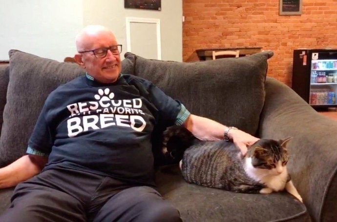 75-Year-Old Grandpa Volunteers and Naps With Cats At Shelter Every Day For 6  Months