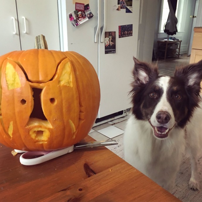 22 Dog Themed Pumpkin Carvings That Will Get You Into The Halloween Mood