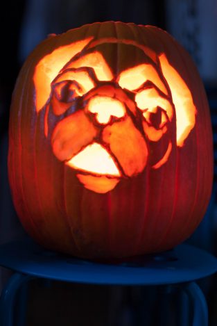 22 Dog Themed Pumpkin Carvings That Will Get You Into The Halloween Mood