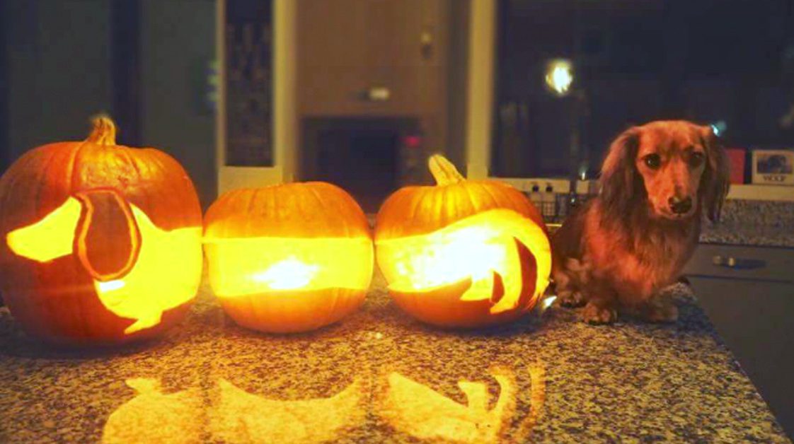 Mind-blowing pumpkin carvings by Ray Villafane